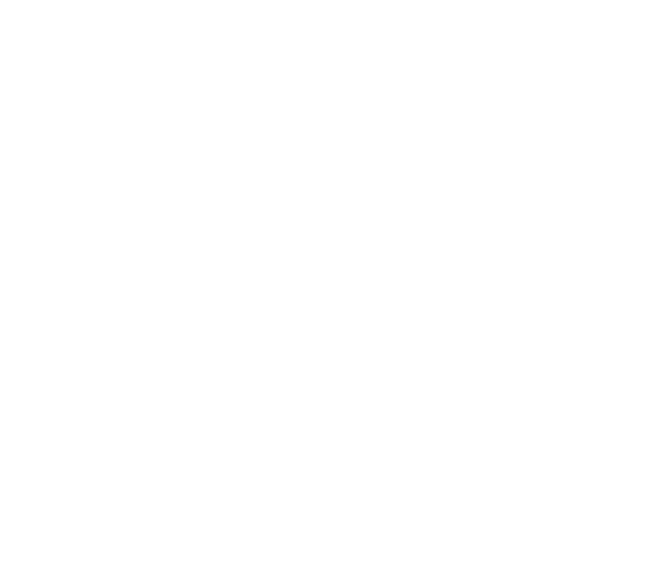 Brand Logo Citroen