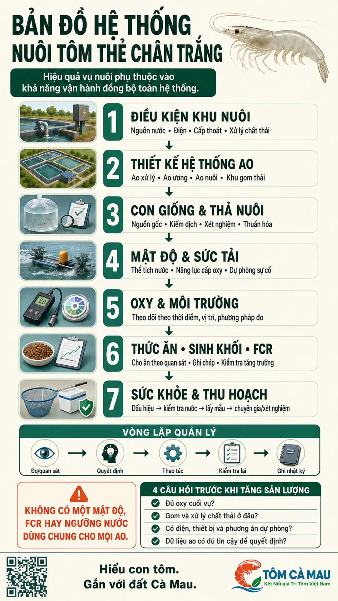 Sơ đồ hệ thống nuôi tôm thẻ chân trắng từ giống đến thu hoạch