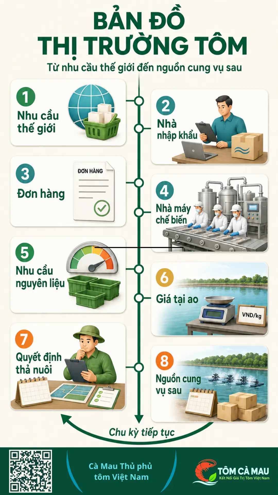 Bản đồ thị trường tôm từ nhu cầu thế giới đến giá tại ao