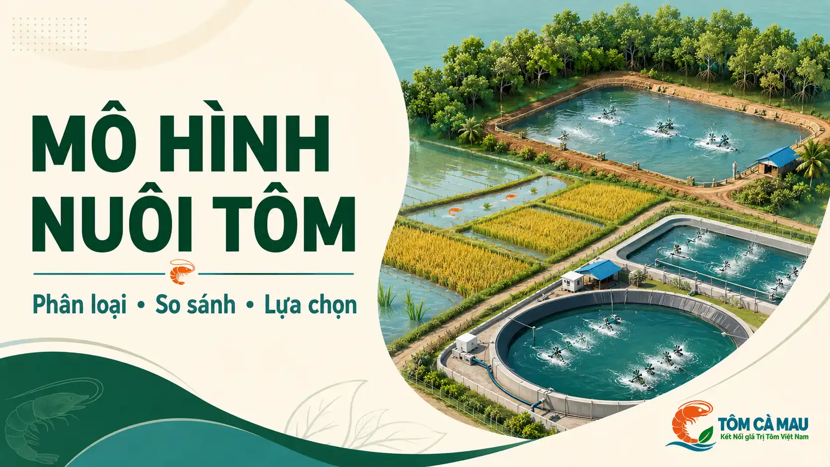 Các mô hình nuôi tôm phổ biến tại Việt Nam Các mô hình nuôi tôm phổ biến theo điều kiện sản xuất
