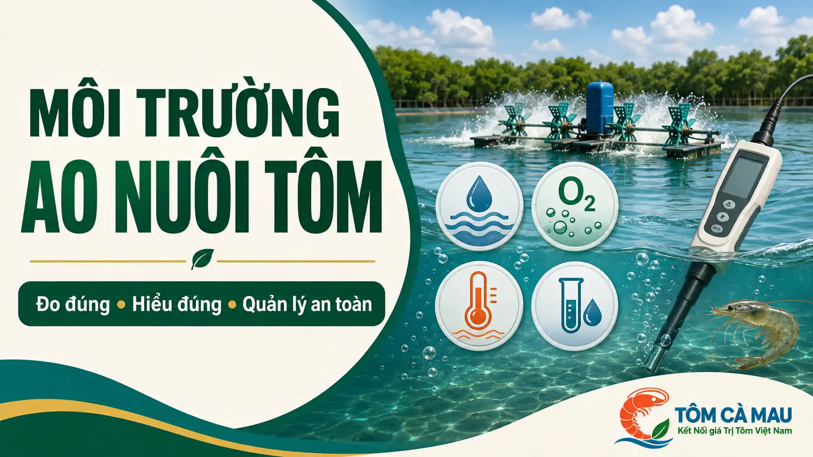 Các yếu tố chính trong môi trường ao nuôi tôm