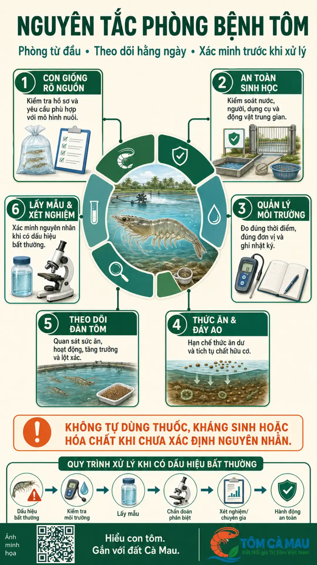 Nguyên tắc phòng bệnh tôm từ con giống đến lấy mẫu xét nghiệm