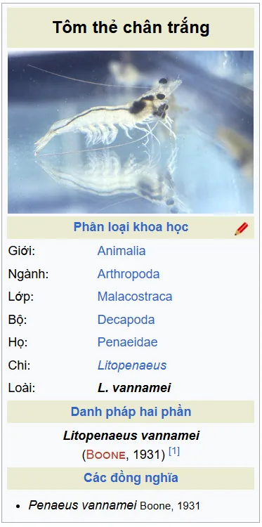 Phân loại khoa học tôm thẻ chân trắng