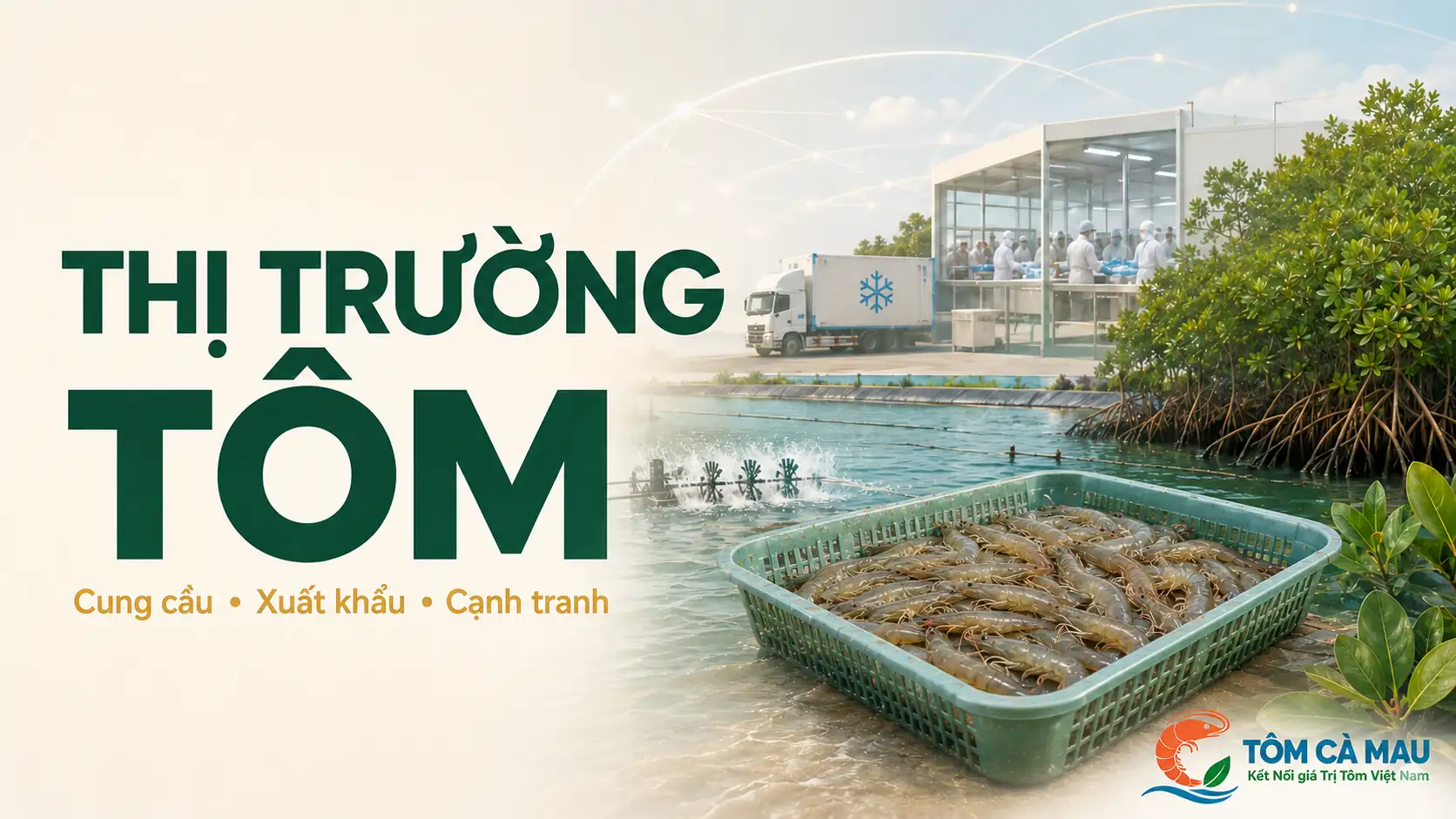 Thị trường tôm Việt Nam từ vùng nuôi đến xuất khẩu