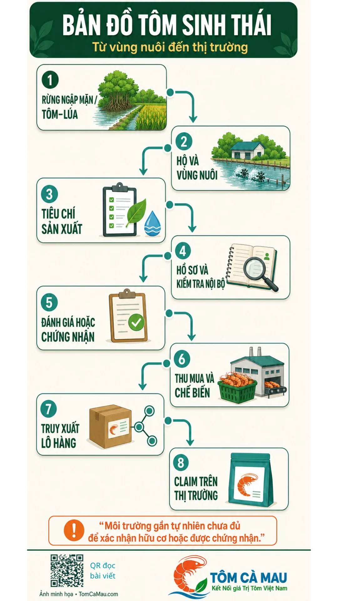 Sơ đồ chuỗi tôm sinh thái từ vùng nuôi đến thị trường