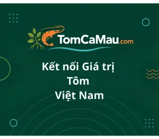 Ảnh TomCaMau -Kết nối Giá trị Tôm Việt Nam